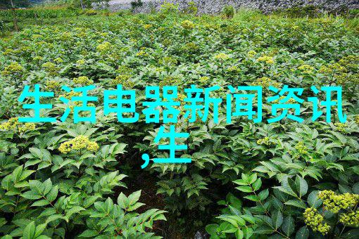 山东省聊城市抽查5批次电烤箱及烘烤器具产品全部合格