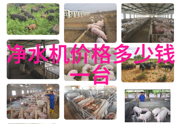 春节年味里折射小家电消费新趋势
